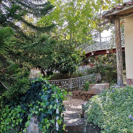 Bella Tierra Hotel Boutique 티바소사 외부 사진